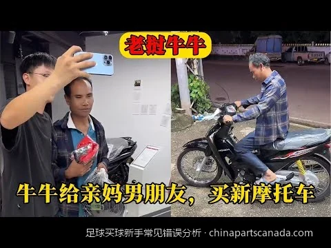 世界杯买球新手三大致命误区：你是否也在盲目追逐豪门？